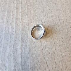 Ring Zilverkleur, zoals gemeld door Gemeente Roermond met iLost