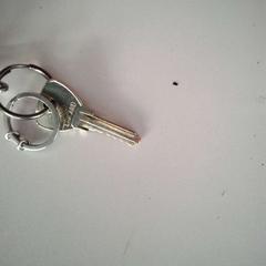 Nøkkel, som rapportert av Twisto ved bruk av iLost