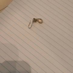 Brinco Goud, como reportado por LUMC utilizando o iLost