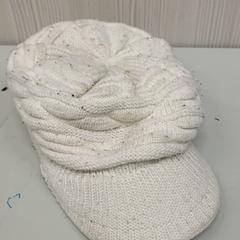 Beanie, som rapportert av Transdev Gooi en Vechtstreek ved bruk av iLost