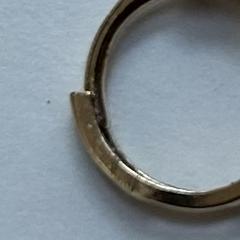 Oorbelletje, come riportato a iLost