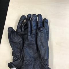 Rukavice Zwart, jak nahlášeno Gemeente Nijmegen pomocí iLost