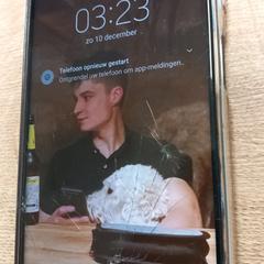 Telefono samsung, come riportato da Pouw Vervoer utilizzando iLost