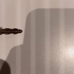 Sleutels, zoals gemeld door De Efteling met iLost