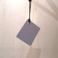 거울 pocket, iLost를 사용하여 The Dominican에 보고됨