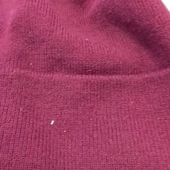 Beanie Paars, as reported by Qbuzz Fryslân using iLost