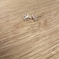 Kolczyki Silver, zgłoszono przez Van der Valk Hotel Sneek przy użyciu iLost