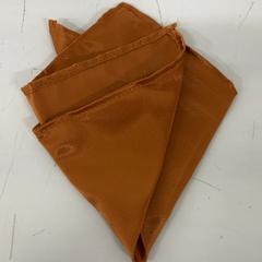 Zapi, gisa salatu by Fenix iLost erabiliz