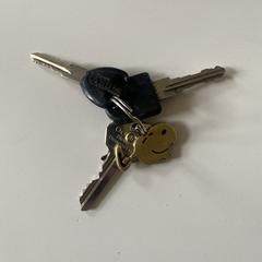 Sleutels, ako bolo nahlásené iLost