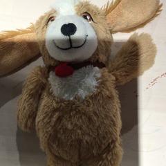 Peluche Hond, ha sido reportado por IKEA Wilrijk con iLost