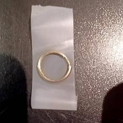 Náušnica gouden, ako bolo nahlásené Padualaan 97 pomocou iLost