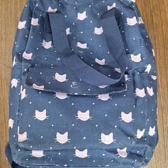 Bag, som rapportert av Pathé Leeuwarden ved bruk av iLost