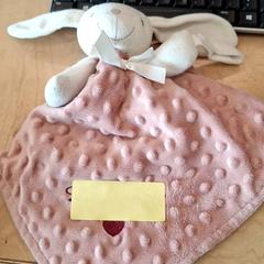 Doudou plat lapin، كما تم الإبلاغ عنه بواسطة IKEA Lyon Grand Parilly عبر iLost