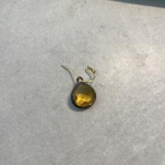 Oorbel an iLost gemeldet