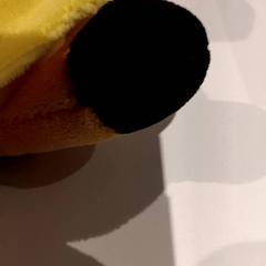 Knuffel, iLost를 사용하여 De Efteling에 보고됨