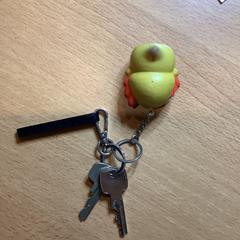 İLost kullanarak Gemeente Amsterdam tarafından bildirildiği gibi Anahtarlar