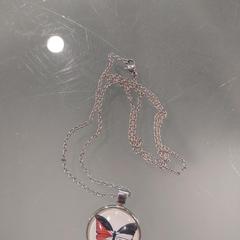 Collana hangertje / vlinder, come riportato da NHL Stenden hogeschool Leeuwarden utilizzando iLost