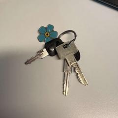 Key, as reported by TheaterHangaar using iLost