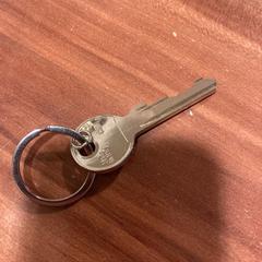 Sleutelbos, zoals gemeld door Pathé Haarlem met iLost