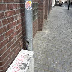 Sleutelbos, amint azt az iLostnak jelentették.