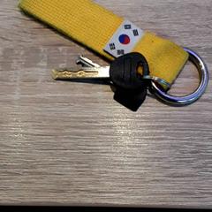 鍵 がiLostで EBS Tramplein によって報告されました