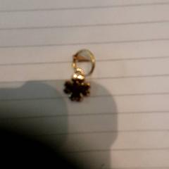 Arracada, segons ha informat LUMC mitjançant iLost