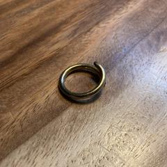 RIng, as reported to iLost