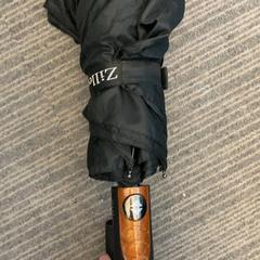 Deštník Zwart, jak nahlášeno Pathé Delft pomocí iLost