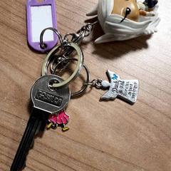 Key, as reported by Connexxion Hoeksche Waard Goeree Overflakkee using iLost