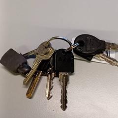 Key Sleutelbos, as reported by Heidelberglaan 7 using iLost