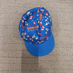 Pet, zoals gemeld door Arriva West-Brabant met iLost