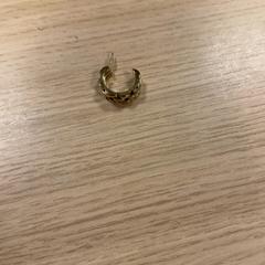 Brinco Goud, como reportado por Pathé Amsterdam Noord utilizando o iLost