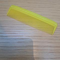 İLost kullanarak Rijksmuseum van Oudheden tarafından bildirildiği gibi Gele kam