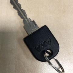 Nyckel Van fiets, rapporterat av Haaglanden Medisch Centrum med iLost