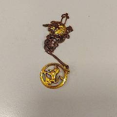 Halsband, rapporterat av Vrije Universiteit Amsterdam med iLost