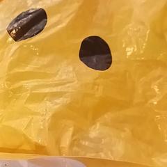 Taška, ako bolo nahlásené RRReis IJssel-Vecht pomocou iLost