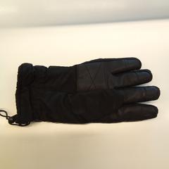 Handschoen, rapporterat av Arriva Den-Bosch med iLost