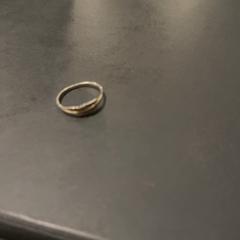 Ringe, som rapportert av Van der Valk Hotel Houten ved bruk av iLost