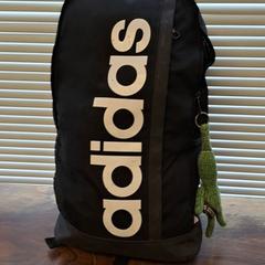 Bag, as reported by Connexxion Haarlem IJmond using iLost