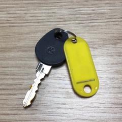 Key, as reported by Diakonessenhuis Zeist using iLost