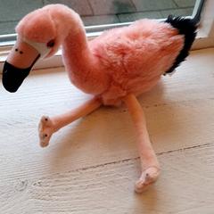 İLost kullanarak DierenPark Amersfoort tarafından bildirildiği gibi Sevimli oyuncak