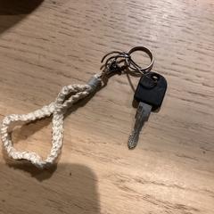 Bicycle keys, as reported by Poppodium 013 using iLost