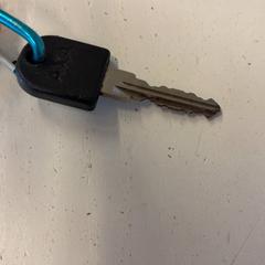 Llave, ha sido reportado por GVB con iLost