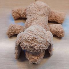 Peluche, ha sido reportado por Regio Limburg - Leuven con iLost