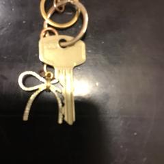 Gakoa, gisa salatu by U-OV Utrecht iLost erabiliz