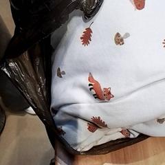 Baby ding, zoals gemeld door Beekse Bergen Resorts en Hotel met iLost