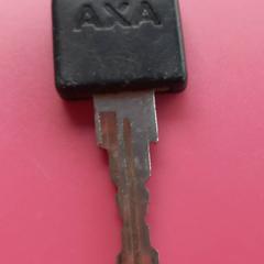 Clau, segons ha informat Arriva West-Brabant mitjançant iLost