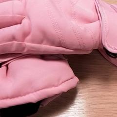 Hansker Roze, som rapportert av Qbuzz Fryslân ved bruk av iLost