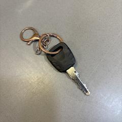 Fietssleutel, segons s'ha informat a iLost