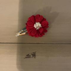 Flor, ha sido reportado por Familie Resort Molenwaard con iLost